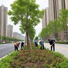 2026世界杯官网 唐山城市绿化养护费用标准规定